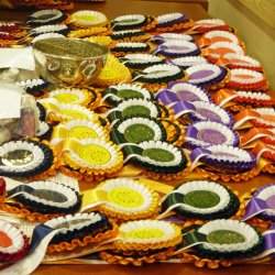 BRC Area 1 Summer Dressage Qualifiers - FINAL ENTRIES