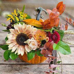 Pumpkins & Petals - Flower Arrangement Workshop