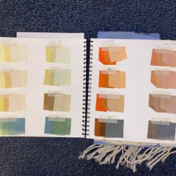 Plant Pigments - One Day Workshop