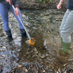 River Dipping (Wildlife Watch)