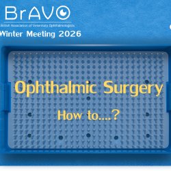 BrAVO Winter Conference 2026 - Sponsorship