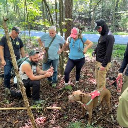 🍄 Mushroom & Plant Foraging Walk