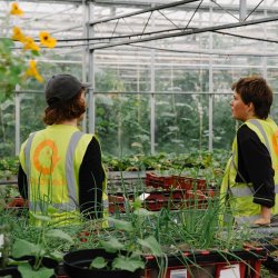 Second Spring Growing Guide