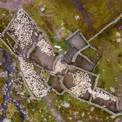 Sheepfolds of the Carneddau… not just a pile of old stones! - Nigel Beidas