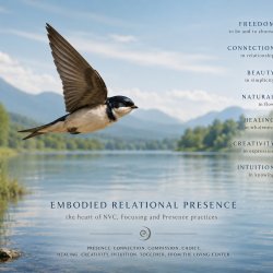 FREE Nourishing Focusing Tasters: All Doorway levels into Focusing Skills Course 2026