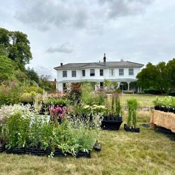 The Serge Hill Plant Fair 2026