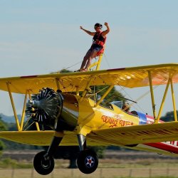 Rainbows Wing Walk 2026
