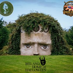 The mythological god Lugh protects the Heritage Park. Emerging out of the ground at the highest point in the park, we see his legendary fiery spear in his left hand, which demonstrates his reputation