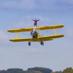 Rainbows Wing Walk 2026