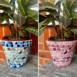 Mosaic Plant 🪴 Pot Workshop