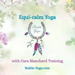 Equi-calm Yoga