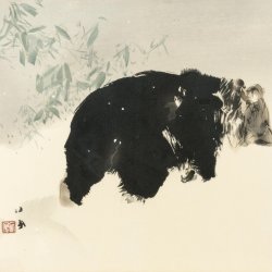 Bear in the Snow by Seiho Takeuchi