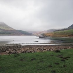 Expressive Watercolour, Workshop Two - Misty Dovestone