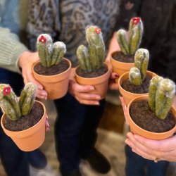 Needle Felting- Cactus