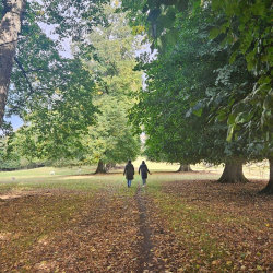 In Austen's Footsteps: Guided Estate Walk