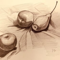 Observational Drawing for Beginners