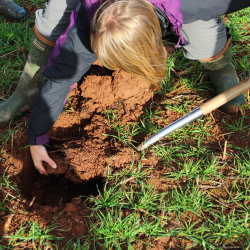 Healthy Soils Connected @ RAU