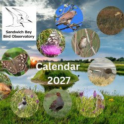 SBBOT Calendar 2027