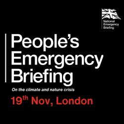 Sound the Alarm: A National Emergency Screening