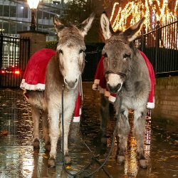 Christmas with Coram 2026