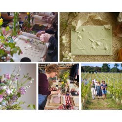 Flower to Form from the Field: a mini retreat