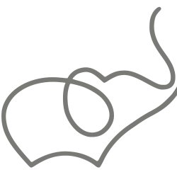 Schema Therapy - Workshop 2 (BPD)