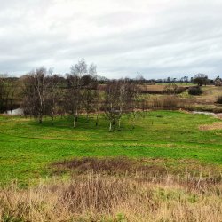 Alvaston Hall Invertebrate Recording Day