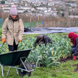 Community Organic Veg Growing