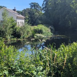 Archiving the River Stour