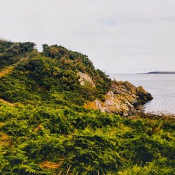 Buy tickets – Heritage Footsteps Northern Ireland