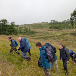 Walk on the Wild Side with Professor Alastair Driver - Free Community Event