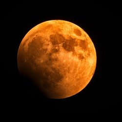 A Taste of The Whiskey District & The Beaver Supermoon