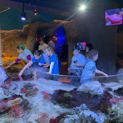 CYS Sealife Overnight