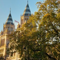 Carbon Literacy Course Registration Form