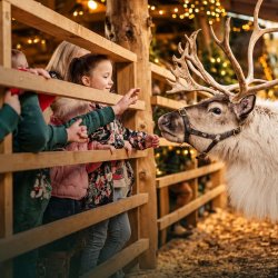 Reindeer Meet & Greet 2026