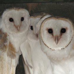 Nature Encounter - A Transformative Day