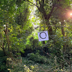 Zen circle calligraphy hanging in some trees