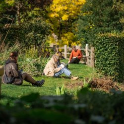 Autumn Creative Writing Group with Will Burns