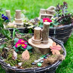 Nature's Architects Summer Camp