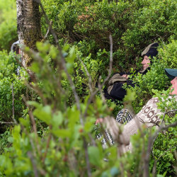 Introduction to Trailing Wildlife