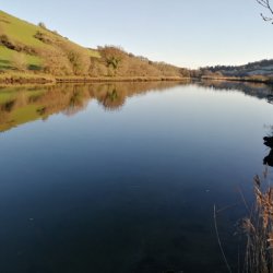 TOTNES 900 AD: FORGED IN TIMBER AND TRADE