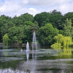 Dads & Kids Walk - Roundhay Park (10:45 - 12:00)