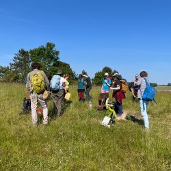 England Annual Meeting 2026: A Recording, Plant ID & Skills Conference