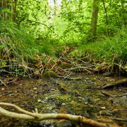 Art with Natural Materials, summer holiday workshop - for young people 7 - 14
