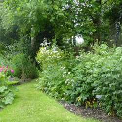 Healing Harmony with Nature