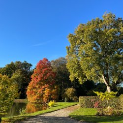Seminarie Mindfulness