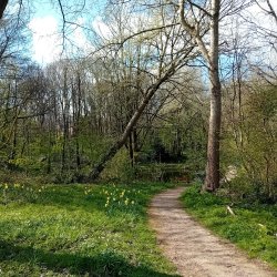 Volunteer Work Day: Crabtree Ponds