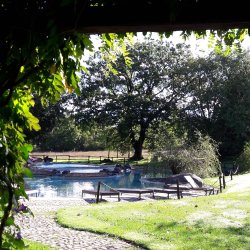 Yoga Retreat Italy