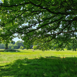 In Austen's Footsteps: Guided Estate Walk