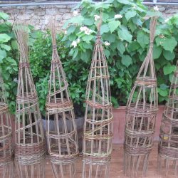 WILLOW OBELISK WORKSHOP 10-12.30 SAT 26 SEPT £42